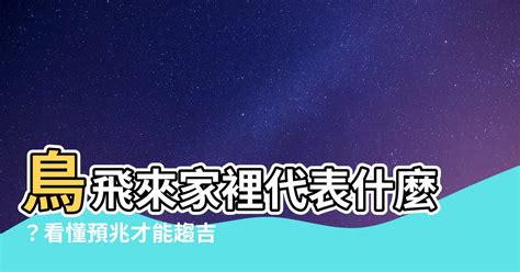 鳥飛進家裡代表什麼|【家裡出現鳥】家裡鳥進來有什麼好兆頭？自來鳥寓意大公開！